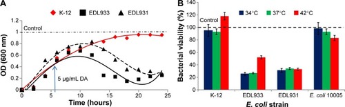 Figure 2 (A) The effects of administrating DA (5 mg/L) in mid-log phase on the growth patterns of K-12 (model) and both strains of E. coli O157:H7. The blue arrow indicates the approximate time DA was added. (B) Inhibitory effects of DA administered in mid-log phase (+6 hours) on the viability of K-12, EDL933, EDL931, and E. coli 10005 grown at different temperatures. Bars in (B) represent the standard error of the mean of three independent experiments (P<0.01).