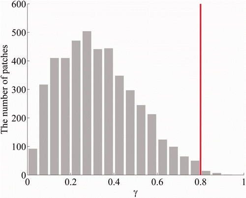Figure 2. Distribution of cortical source patches with respect to the proportion of the radial component of sources. Because the number of patches in which the proportion was greater than 0.8 was not sufficient to estimate average localization accuracies, we excluded these patches when analysing the simulation results shown in Figure 3.
