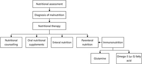 Figure 1. Conclusion of nutritional therapy process and methods.