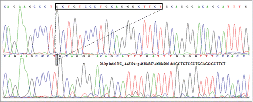 FIGURE 2. Sequence diagram of the 20-bp indel variants of sheep PRND gene.