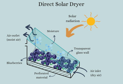 Figure 5. Schematic diagram of a direct solar drying. Adapted from (Prakash and Kumar Citation2013).
