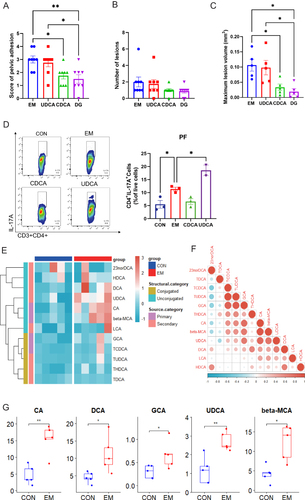Figure 7 Disturbed bile acid metabolism in peritoneal fluid of EM mice (A-C) Pelvic adhesion scores, maximum lesion volume, and number of lesions in each group of mice after UDCA and CDCA intervention in the EM mouse model (n = 8). DG was the control group of dienogest-positive treatment and dots represented individual mice. (D) Representative flow plots and quantification of CD4+IL-17A+ in mouse peritoneal fluid (PF) and dots represented separate experiments (n = 3). (E) Heatmap of relative abundance for metabolomic analysis of targeted bile acids in mouse PF.(F) Correlation plots of bile acid metabolism in which red represents positive correlation and blue represents negative correlation. (G) Comparison of significantly different bile acid levels between two groups of PF (n = 5) and dots represent individual mice. The error bar was the mean±SEM. P values were determined by two-tailed Student’s t-test or one-way-ANOVA analysis. *p < 0.05, **p < 0.01.