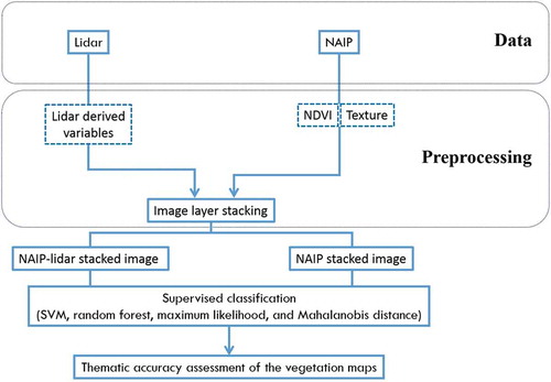 Figure 10. Flowchart of main processing steps used in the study