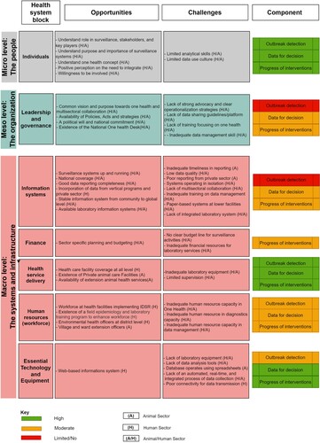 Figure 5. Opportunities, challenges and level of effect towards establishing One Health platform.