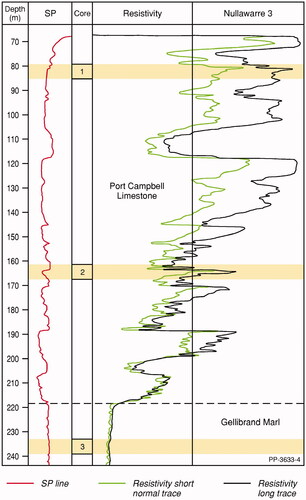 Figure 13. Self-Potential (SP) and Resistivity logs of Nullawarre 3 bore with cored intervals. Resistivity short (green trace) and long normal (black trace) (Department of Mines, Victoria, Citation1965) showing a distinctive large period cyclicity within the Port Campbell Limestone.