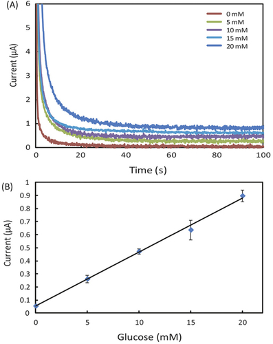 Figure 3. (A) Chronoamperometric curves and (B) the calibration plot for measurement of glucose in AU. The solid line in (B) represents a linear fit to experimental data with regression equation: y = 0.041x + 0.054 (R2 = 0.996, n = 5).