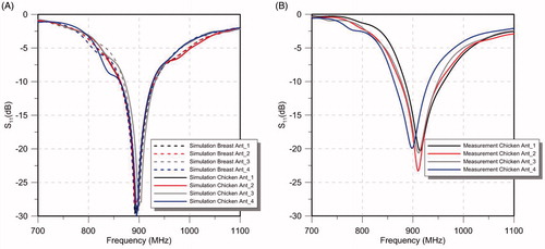 Figure 10. Simulated S11 values of the 4-antenna array the with simplified human breast model and ex vivo chicken breast model (simulation of the experimental setup) (A) and S11 values of measurements with ex vivo chicken breast (B).