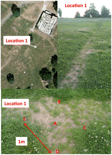 Figure 2. Overview of Location 1.