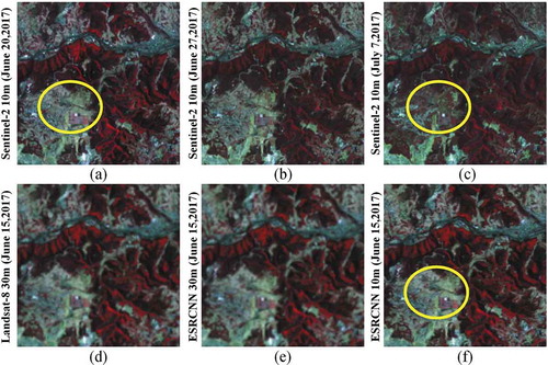 Figure 5. The multi-temporal fusion results (R: band 5, G: band 4, B: band 3). (a) – (c) are three 10 m Sentinel-2 images taken on June 20, June 27 and 7 July 2017. (d) – (f) are the original Landsat-8 reference image of 30 m and the fused Landsat-8 image of 30 m and 10 m on 15 June 2017, respectively (Shao et al. Citation2019)