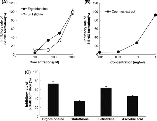 Fig. 2. Inhibitory effect of the Coprinus extract in 8-BrdG formation.