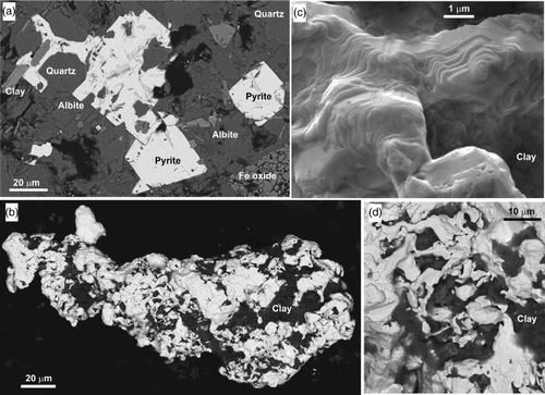 Figure 9. SEM backscatter images of authigenic minerals in the Blue Spur Conglomerate at Waitahuna Gully mine. A, Euhedral authigenic pyrite has overgrown silicate clasts and clay-altered phyllosilicates. B, Partially rounded ellipsoidal gold particle with authigenic clay coatings and intergrowth. C, Close view of crystalline gold on the surface of the particle in B, with authigenic clay overgrowths (electron-translucent, on right). D, Intergrown authigenic clay and authigenic gold on the surface of gold particle in B.