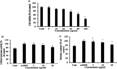 Figure 1. Cytotoxicity of CBE in B16F10 cells. Cells were incubated with 5, 10, 20, 40, 80, and 100 μg/ml of CBE for 48 h. (a) Cell viability was measured using MTT assay and (b) inhibitory effect on cellular tyrosinase activity and melanin contents by CBE treatment in B16F10 melanoma cells. After 1 × 106 cells were seeded. Cells were pre-treated with extract for 1 h, and then incubated with α-MSH for 48 h, (c) melanin content in the pellet was measured. Bars indicate the mean ± standard deviation of triplicate. Mean statistically significant difference at *p < 0.05 compared to the only α-MSH-treated group for figures (b) and (c). Control is untreated samples.