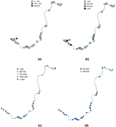 Figure 4. Pattern of 222Rn and electrical conductivity (EC) in the main course of the River Awash: (a) wet-season 222Rn, (b) dry-season 222Rn, (c) dry-season EC, and (d) wet-season EC. 222Rn is in Bq m−3 and EC is in µS cm−1