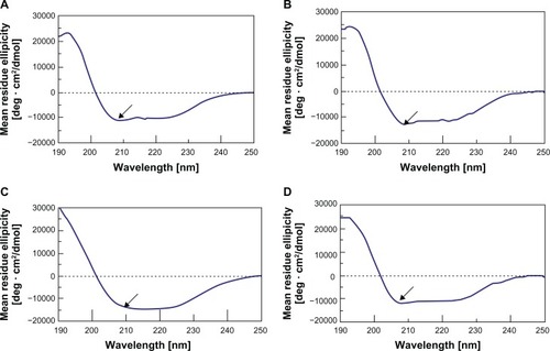 Figure 7 (A–D) Secondary structural spectra of the BSA in the NEDDS. (A) BSA aqueous solution; (B) BSA NEDDS stored at room temperature for 30 days; (C) BSA NEDDS stored at room temperature for 90 days; (D) BSA NEDDS stored at room temperature for 180 days.Note: Arrows represent BSA absorption peaks.Abbreviations: BSA, bovine serum albumin; NEDDS, nanoemulsion drug-delivery system.