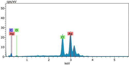 Figure 5 Energy dispersive X-ray (EDX) spectrum analysis of biosynthesized AgNPs using culture supernatant of Shewanella sp. ARY1.