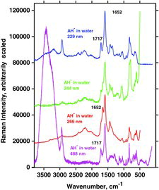 Figure 23. Experimental Raman spectra of ascorbate in aqueous solution versus excitation wavelength (pH = ∼9).