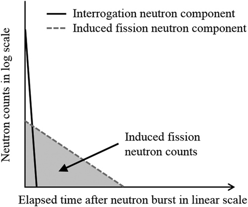 Figure 1. Schematic of time distribution obtained in measurement by the FNDI method when the sample contains fissile materials.