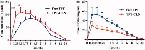 Figure 3. Plasma concentration versus time profiles of topotecan after oral administration of TPT-CLN or free topotecan to rats pretreated with saline (A), pretreated with 3 mg/kg cycloheximide (B) (n = 6 and 5 mg/kg).