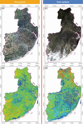Figure 10. Sentinel-2 optical images acquired before (9 May 2020) and after (29 May 2020) the cyclone. Sub-figures (a) and (b) are the true colour composites and (b), (d) are the MNDWI thematic indices