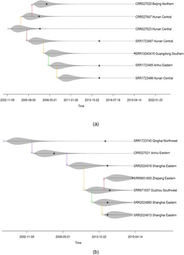 Figure 3. Examples of inferred transmission clusters according to Phybreak, a change of colour indicating a transmission event.