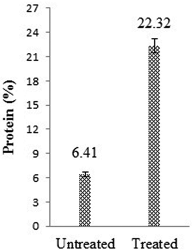 Figure 1. Protein contents of untreated and treated rice flour samples. Results are expressed as mean ± standard deviation.