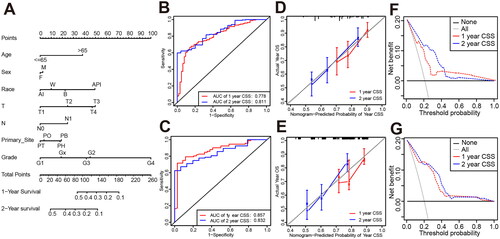 Figure 5. Prediction nomogram of CSS after primary tumor surgery. (A) The nomogram includes age, sex, race, T stage, N stage, histological grade, and tumor location for predicting CSS in postoperative patients. (B) ROC curves for 1-year CSS and 2-year CSS in the training set. (C) ROC curves for 1-year CSS and 2-year CSS in the validation set. (D) Calibration curves for 1-year CSS and 2-year CSS in the training set. (E) Calibration curves for 1-year CSS and 2-year CSS in the validation set. (F) DCA for 1-year CSS and 2-year CSS in the training set. (G) DCA for 1-year CSS and 2-year CSS in the validation set. Sex (F: female; M: male), Race (W: White; B: Black, AI: American Indian/Alaska Native; API: Asian or Pacific Islander); T: T Stage; N: N stage; Primary Site (PH: Pancreas head; PB: Pancreas body; PT: Pancreas tail; PO: Pancreas other); AUC: area under the receiver operating characteristic curve; CSS: cancer-specific survival.
