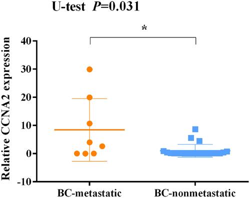 Figure 12 Expression levels of CCNA2 in tissues between non-metastatic breast cancer and metastatic breast cancer patients after surgery and immunotherapy. *p<0.05.