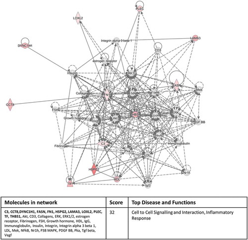 Figure 6. Eleven out of the 12 significantly differentially expressed exosomal proteins, derived from the inflammatory culture conditions compared to the normal culture conditions, associate with a cell to cell signalling/inflammatory response pathway identified by the Networks function of IPA. The colour intensity indicates amount of up-regulation within the network. Proteins highlighted in bold within the data table are the 11 significantly differentially expressed exosomal proteins.