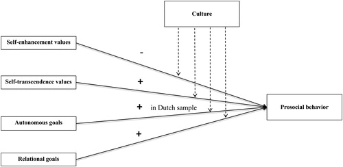 Figure 1. The conceptual mode in the current study. Note. This figure illustrates the conceptual model of the association between mother’s values, goals, and their children’s prosocial behaviors, based on previous empirical evidence and eco-cultural models of parenting (e.g., Keller et al., Citation2006; Schwartz, Citation2010). We explore the role of culture in these associations; for autonomous goals we expect a positive the link between mother’s autonomous goals and children’s prosocial in the Dutch sample, whereas this association could be either negative, non, or positive in the Indian and Chinese samples.