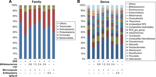 Figure 9 (A) Overall fecal microbiota compositions of each sample with a family level and (B) overall fecal microbiota compositions of each sample with genus level.Abbreviation: DSS, dextran sulfate sodium.