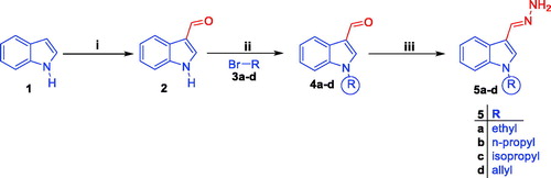 Scheme 1. Preparation of the key intermediates 5a–d; (i) DMF, POCl3, reflux 8 h.; (ii) DMF, NaH, stirring at R.T for 24 h.; (iii) Ethyl alcohol, NH2NH2·H2O, reflux 2 h.