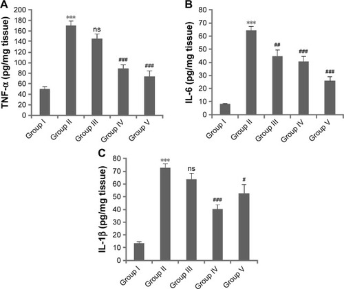 Figure 3 Effect of Leiurus quinquestriatus venom extract on DMBA/croton oil-induced cutaneous proinflammatory cytokines.