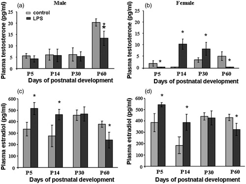 Figure 4. Concentrations of (a, b) free testosterone (pg/ml) and (c, d) estradiol (pg/ml) in male (a, c) and female (b, d) rat offspring at P5, P14, P30, and P60 after saline (control) or lipopolysaccharide (LPS) (18 μg/kg, i.p. at E12) administration to the mother on day 12 of pregnancy, data are M ± SD, (n = 10 per group). Statistical analysis: two-way ANOVA (details in “Results” text), followed by one-way analysis of differences at each time point of development by Tukey’s post hoc test. *p < 0.01 between groups at same age.