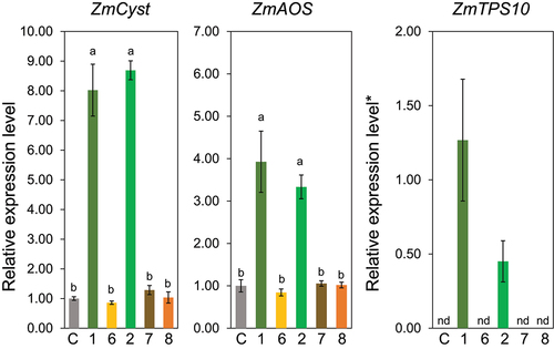 Figure 5. Effect of alkyl chain length at the polar group-side in (Z)-ω3-alken-1-ol (compounds 6, 2, 7, and 8) on the expression levels of ZmCyst, ZmAOS, and ZmTPS10. Values represent means ± SEM (n=4). Different letters indicate significant difference (P<0.05, one-way ANOVA followed by Tukey’s test).
