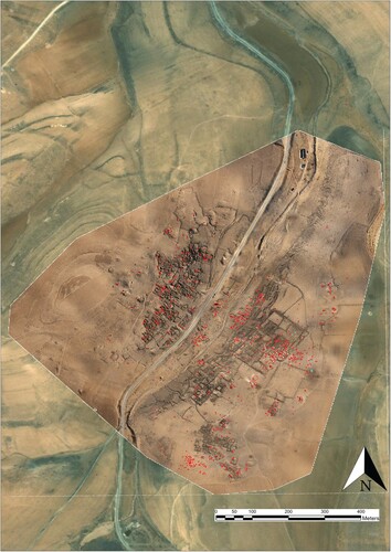 Figure 13. A plan of the pits excavated between August 2020 and April 2021 (marked in blue; red indicates all the pits documented). Based on analysis of satellite imagery available on Google Earth.