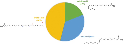 Figure 2. Fatty acid content of blackcurrant pomace.