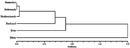 Figure 6. UPGMA cluster analysis of Anchusa italica var. italica populations.