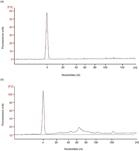 Fig. 7.  Analyses of the RNA content of SEC fractions.Panel a shows a representative (n=3) bioanalyser profile of small RNA of a single tetraspanin-peak fraction obtained from a non-concentrated sample, HD5. In panel b, bioanalyser profile of a concentrated, HD5C, sample is shown.