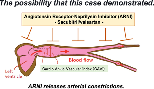 Figure 2 The image of ARNI’s action on heart and vessels.