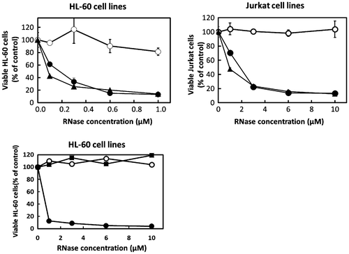 Fig. 5. Effects of 12mutant-He1, 4mutant-He1, and RNase He1 on the proliferation of HL-60 and Jurkat cells as determined with the MTT Assay.Notes: Each point is the mean of three replicates and is reported as the percentage of the control, which lacked RNase. Cells were treated with a given concentration of RNases for 72 h. Cell proliferation without RNase was normalized to 100%. Symbols: ▲, RNase Po1; ●, 12mutant-He1; ○, RNase He1; ■, and 4mutant-He1.