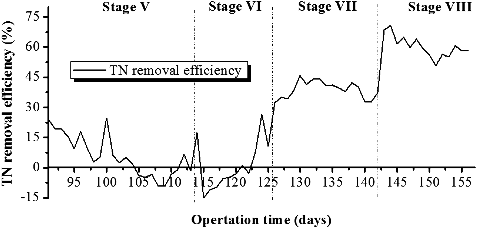 Figure 8. Variations of TN removal efficiencies at different operation stages.