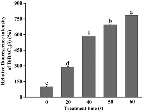 Figure 6. Alteration of the cell membrane potential of DBD plasma-treated E. coli O157:H7. Error bars mean standard deviation for three repetitions. Different letters above the bars represent significant differences among treatment groups according to the LSD test at p = .05.
