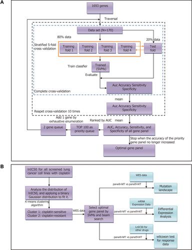Figure 1 Flowcharts of the selection of the mutated resistance-related gene panel in this study. (A) Work flow of this paper. SVMs, support vector machines; WES, whole-exome sequencing. (B) Flowchart of the selection of the mutated resistance-related gene panel. N indicates the sample size.