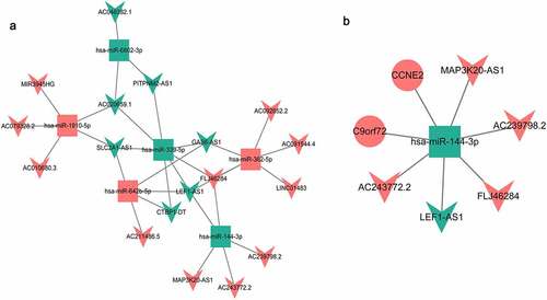 Figure 5. DEmiRNA-DElncRNA targeting network diagram (a) and DElncRNA-DEmiRNA-DEmRNA interaction network (b).