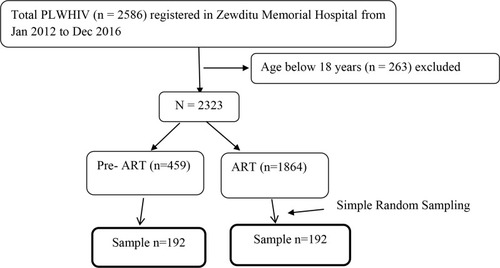 Figure 1 Sampling procedures.