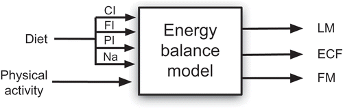 Figure 2. Input–output block diagram representation for the three-compartment energy balance model. Primary inputs to the model consist of physical activity and diet. Diet in turn is composed of carbohydrate intake (CI), fat intake (FI), protein intake (PI) and sodium intake (Na); the output compartments consist of lean mass (LM), fat mass (FM), and extracellular fluid (ECF).