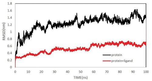 Figure 8 Root mean square deviations (RMSD) of the protein and Cα RMSD a function of residue number for peptide and peptide+MHC class 1, respectively, over 100 ns.