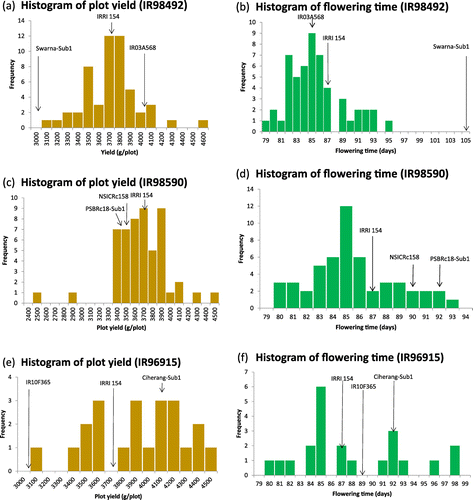 Figure 5. Histograms of yield and flowering time for 3 different RGA populations evaluated in the 2015 dry season OYT. IR98492: yield (a), flowering time (b). IR98590: yield (c), flowering time (d). IR96915: yield (e), flowering time (f). Means of parents and IRRI154 check variety are indicated by arrows.