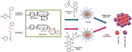 Figure 2. Co-delivery of thioridazine and doxorubicin using polymeric micelles. Adapted from the published works of Ke et al. [Citation15].