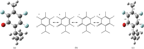 Figure 2 (a) Structure of isothymol, (b) resonance forms of the 2,5,6-trifluorothymol radical, and (c) bond lengths in Å 2,5,6-trifluorothymol.